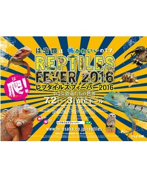 Reptiles Fever 18 Photo Video Find Out Deeper Experience With Your Interests Deep Dive Japan