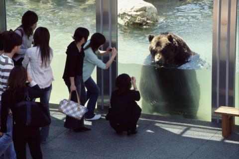 Sahoro Resort Bear Mountain Admission Bear Watching Bus Zoo Aquarium Amusement Event Find Out Deeper Experience With Your Interests Deep Dive Japan