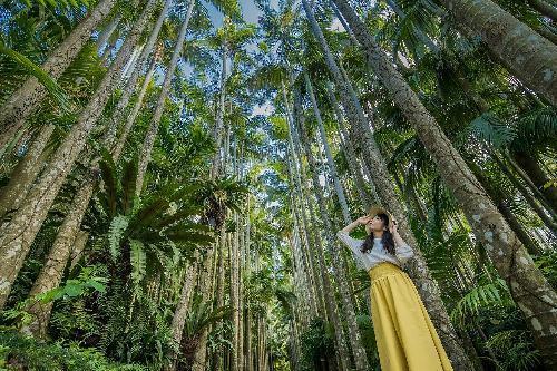 Southeast Botanical Garden Admission Ticket Photo Video Find Out Deeper Experience With Your Interests Deep Dive Japan